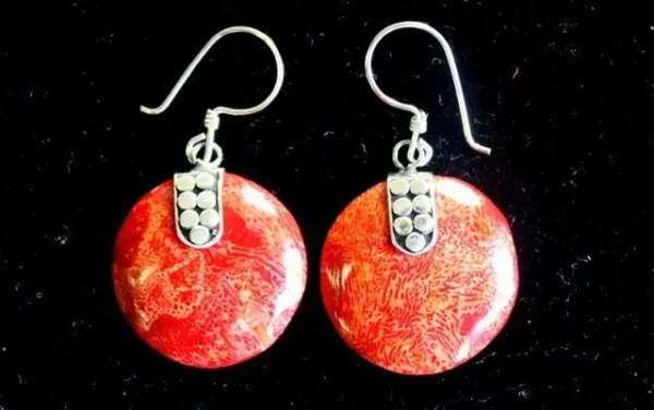 925 Silver Earrings - Disc Disc Decor - Image 2