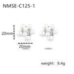 NMSE-C125-1