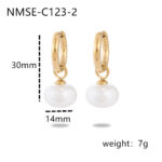 NMSE-C123-2