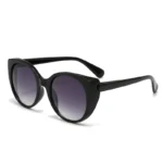 Black Frame Double Gray Lens
