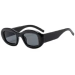 Black Frame Black and Grey Lens