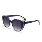 Transparent Blue Frame Double Gray Piece