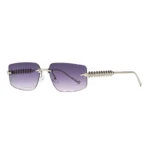 Silver Frame Double Gray C6