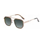 C6 Polarized Bean Flower Gold G118 Gray Green
