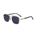 C6 Black-grey Dot Black Gold Frame All Gray