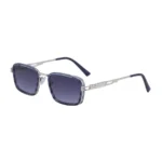 C5 Blue Striped Floral Silver Gradient Gray