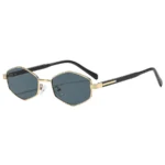 C2-Gold Frame Gray Lens