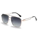 C6 Gold Frame Progressive Gray