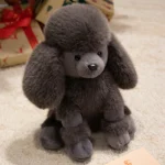 Gray Poodle