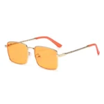 Golden Frame Orange Slices