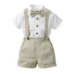 591 Stand Collar - Light Apricot Color
