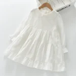 product/2026/3/13/2032399341301403648.jpg