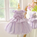 product/2026/4/8/20411 Year8343122710cm528.jpg